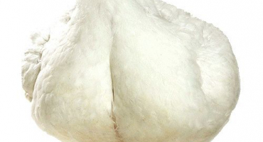 Trisulfon pro slepice a králíky